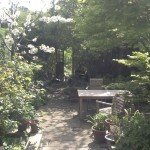 A little Garden in Hampstead Garden Suburb