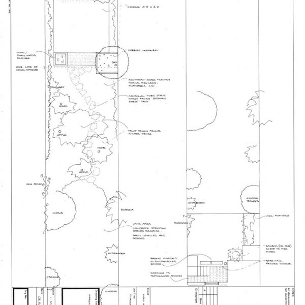 Melissa Hay - Fabled Gardens Drawings 2003