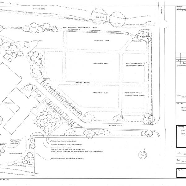 Melissa Hay - Fabled Gardens Drawings 2003