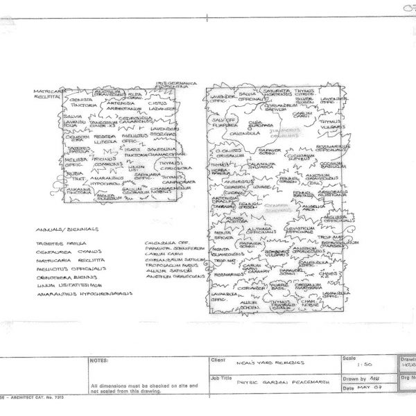 Melissa Hay - Fabled Gardens Drawings 2007