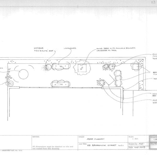 Melissa Hay - Fabled Gardens Drawings 2013