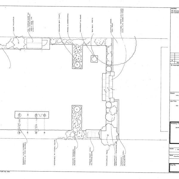 Melissa Hay - Fabled Gardens Drawings 2015
