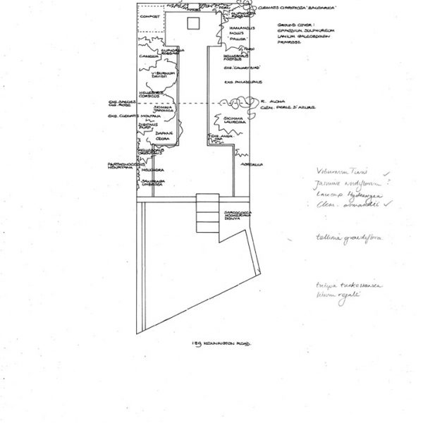 Melissa Hay - Fabled Gardens Drawings 1989 - 1991