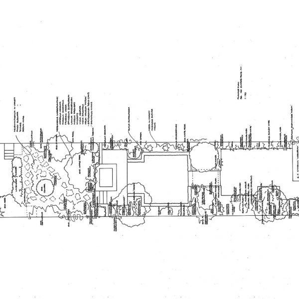 Melissa Hay - Fabled Gardens Drawings 1992 - 1993