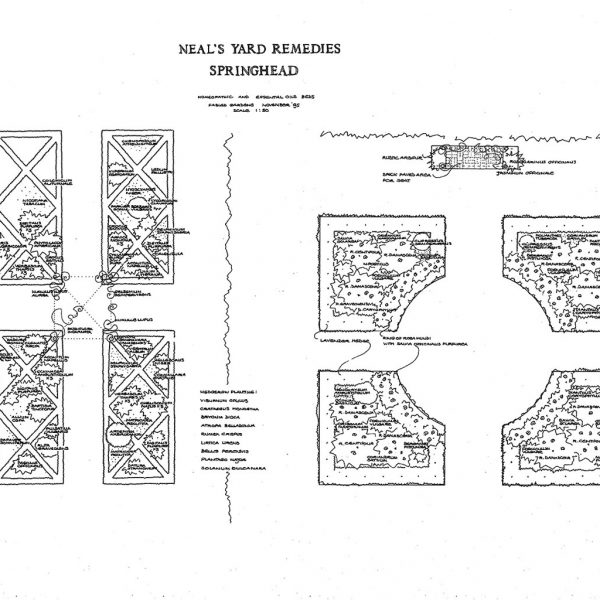 Melissa Hay - Fabled Gardens Drawings 1994
