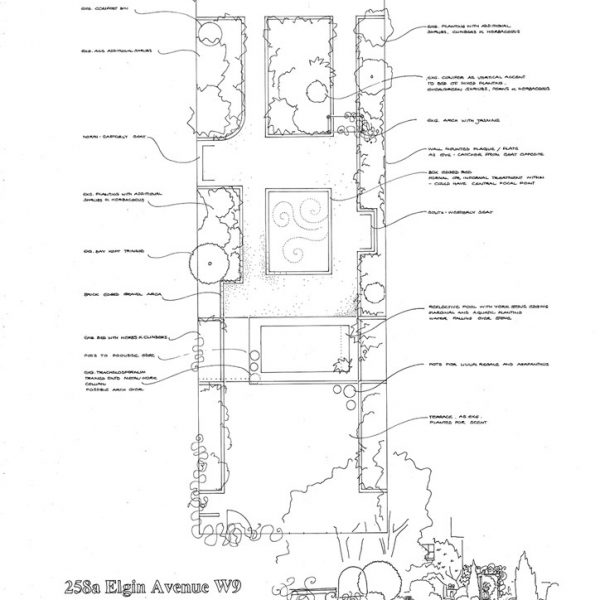 Melissa Hay - Fabled Gardens Drawings 1994
