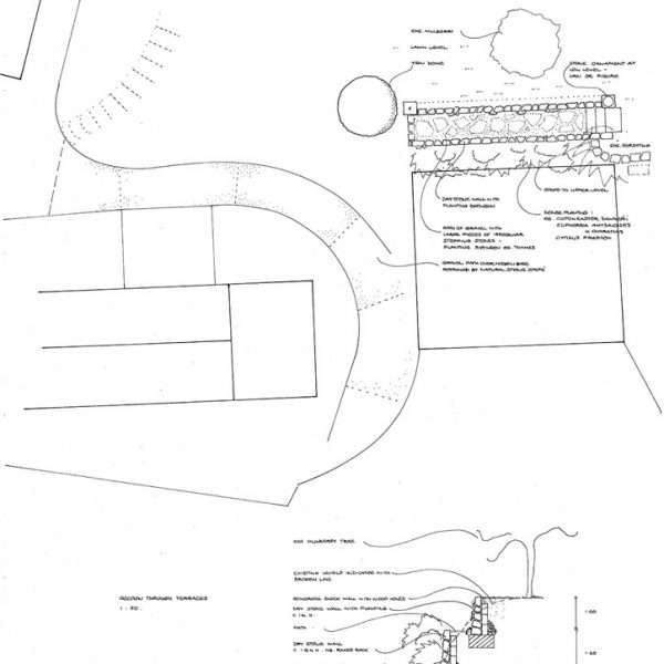 Melissa Hay - Fabled Gardens Drawings 1995