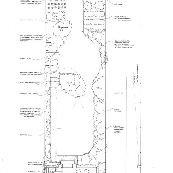 Melissa Hay - Fabled Gardens Drawings 1996