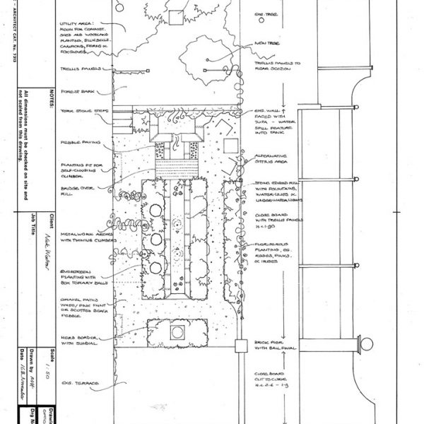 Melissa Hay - Fabled Gardens Drawings 1998