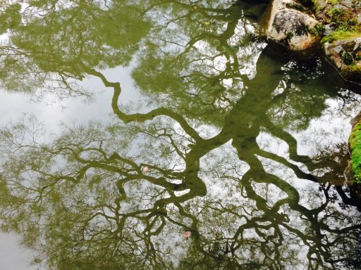 Ginkakuji -The Brocade Mirror Pond