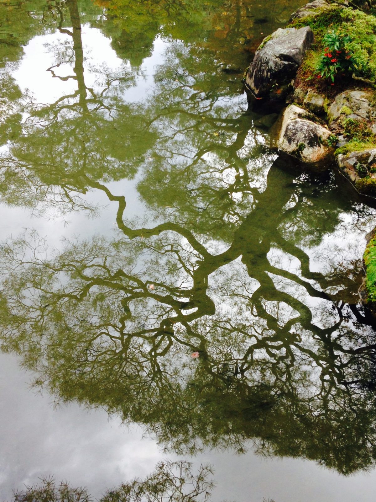 Ginkakuji -The Brocade Mirror Pond Ginkakuji -The Brocade Mirror Pond