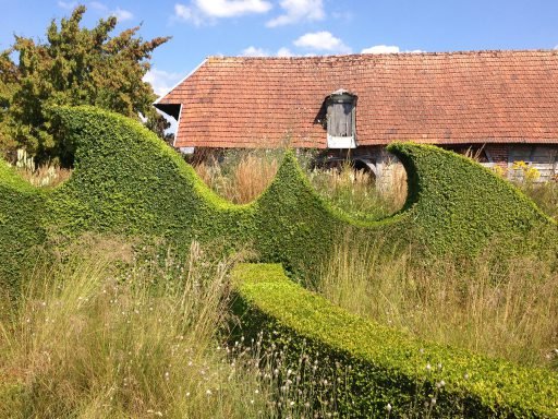Hedges at La Plume
