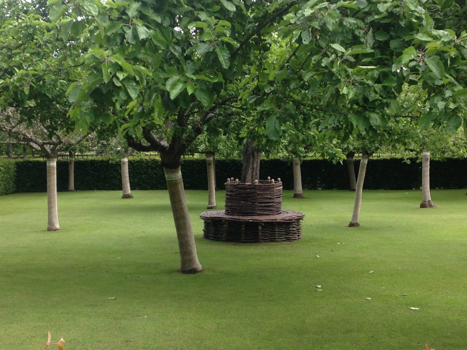 Prieuré d’Orsan Orchard Prieuré d'Orsan Orchard